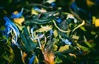 soyut arkaplan ya da duvar kağıdı olarak renkli gıdalar