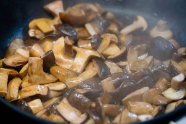 Ormandan yeni çıkmış mantarlar.