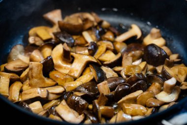 Ormandan yeni çıkmış mantarlar.