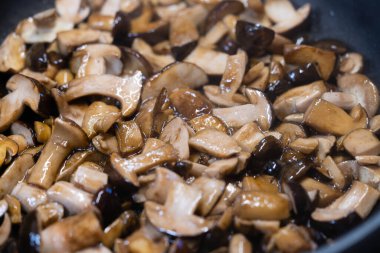 Ormandan yeni çıkmış mantarlar.