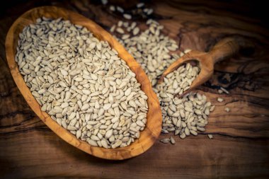 Ayçiçeği Helianthus Annuus zeytin ağacına tohum eker