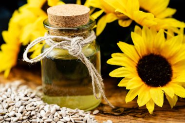 Ayçiçeği Helianthus Annuus zeytin ağacına tohum eker