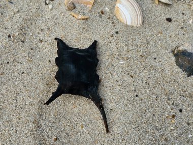 Blavand Danimarka 'nın kuzey denizindeki uçsuz bucaksız plajın izleri.