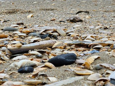 Blavand Danimarka 'nın kuzey denizindeki uçsuz bucaksız plajın izleri.