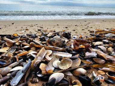Blavand Danimarka 'nın kuzey denizindeki uçsuz bucaksız plajın izleri.