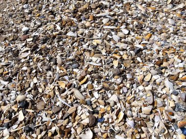 Blavand Danimarka 'nın kuzey denizindeki uçsuz bucaksız plajın izleri.