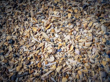 Blavand Danimarka 'nın kuzey denizindeki uçsuz bucaksız plajın izleri.