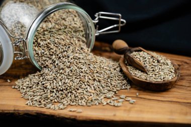 Bir yığın tam tahıllı çavdar Gevrek zeytin ağacı