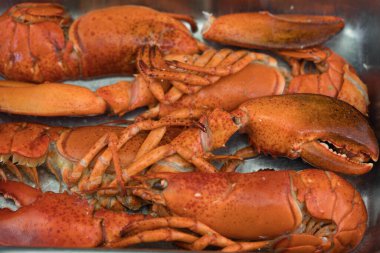 özel deniz ürünleri ya da ıstakoz.