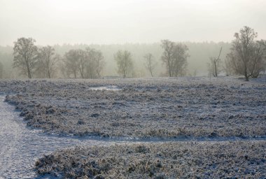Kar bir dağ bisikletine düştükten sonra Fischbeker Heide doğa koruma alanı Hamburg yakınlarında