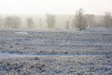 Kar bir dağ bisikletine düştükten sonra Fischbeker Heide doğa koruma alanı Hamburg yakınlarında