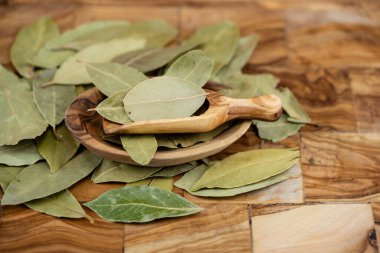 Koyun yaprakları ve zeytin ağacında