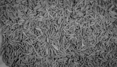 soyut arkaplan ya da duvar kağıdı olarak renkli gıdalar