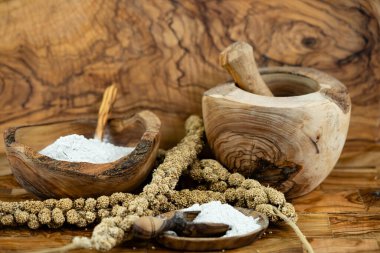 Zeytin ağacının üzerinde kurumuş darı unu