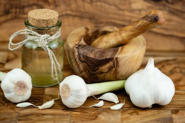 Zeytin ağacındaki sarımsak için taze sarımsak.