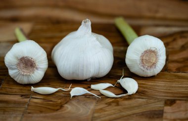 Zeytin ağacındaki sarımsak için taze sarımsak.