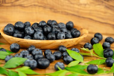 Zeytin ağacında taze toplanmış yabanmersini.