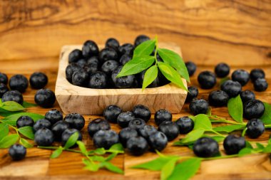Zeytin ağacında taze toplanmış yabanmersini.