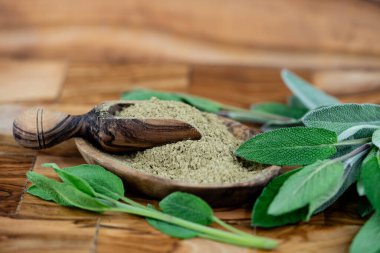 Zeytin ağacında adaçayı yaprakları