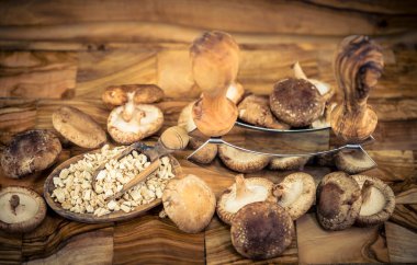 Şiitake mantarı Lentinula zeytin ağacına edodes