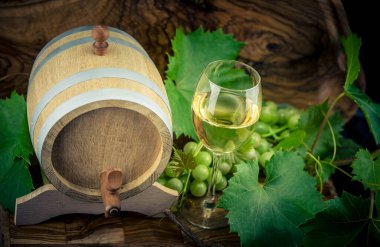 zeytin ağacında şarap üzümü