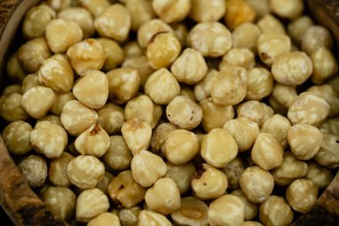 Fındık meyveli Corylus Avellana zeytin ağacında