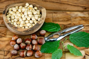 Fındık meyveli Corylus Avellana zeytin ağacında