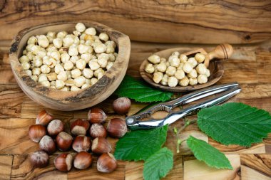 Fındık meyveli Corylus Avellana zeytin ağacında