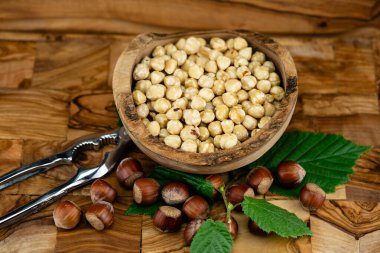 Fındık meyveli Corylus Avellana zeytin ağacında