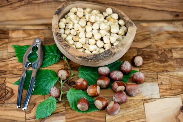 Fındık meyveli Corylus Avellana zeytin ağacında