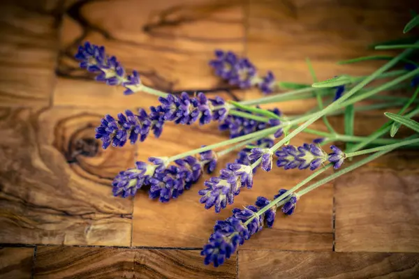 Bitki bahçesinde lavanta lavantası Augustifolia