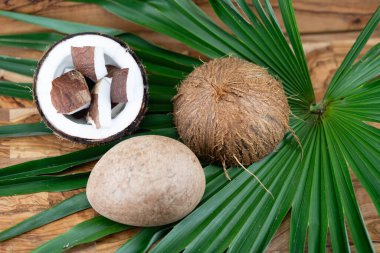 Copra kurutulmuş hamuru ve Hindistan cevizi ipliklerinden yapılmış Cocos nucifera.