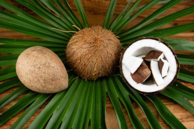 Copra kurutulmuş hamuru ve Hindistan cevizi ipliklerinden yapılmış Cocos nucifera.