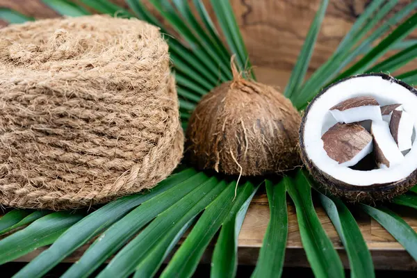 stock image Copra dried pulp and ropes made from fibers of the coconut Cocos nucifera