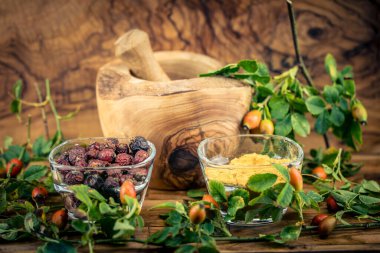 taze ya da kurumuş köpek gül Rosa canina