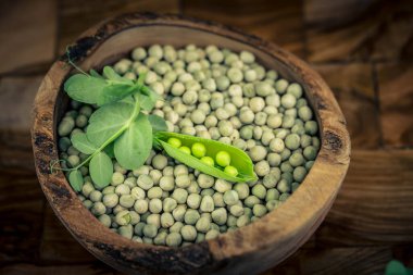 Bezelye çorbası için zeytin ağacının üzerine bezelye Pisum sativum. 