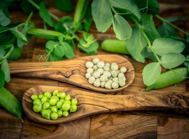 Bezelye çorbası için zeytin ağacının üzerine bezelye Pisum sativum. 