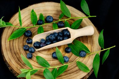 Taze toplanmış yabanmersini Aşısı Myrtillus