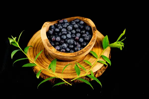 stock image freshly picked blueberries Vaccinium myrtillus