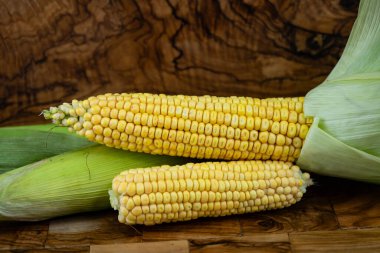 Sarı mısır Zea mays