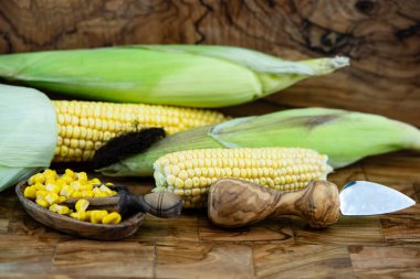 Sarı mısır Zea mays