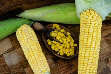 Sarı mısır Zea mays