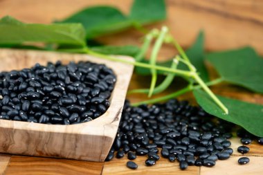 Siyah kaplumbağa fasulyesi yaygın fasülye fasülyesinin küçük, parlak bir türüdür.