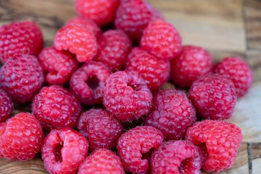 Rubus Blackberry vahşi orman çiçekleri ve meyveleri