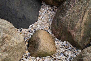 Impressions of the endless beach at the northern sea in Blavand Denmark clipart