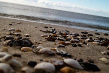 Blavand Danimarka 'nın kuzey denizindeki uçsuz bucaksız plajın izleri.