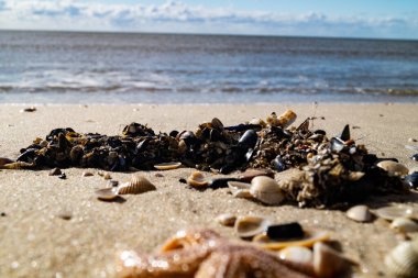 Blavand Danimarka 'nın kuzey denizindeki uçsuz bucaksız plajın izleri.