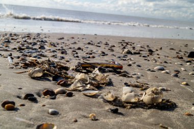 Blavand Danimarka 'nın kuzey denizindeki uçsuz bucaksız plajın izleri.