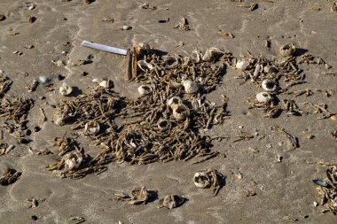 Blavand Danimarka 'nın kuzey denizindeki uçsuz bucaksız plajın izleri.