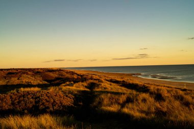 Impressions of the endless beach at the northern sea in Blavand Denmark clipart